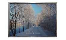 กรอบรูปภาพพิมพ์แคนวาส-ใส่กรอบสีเงิน